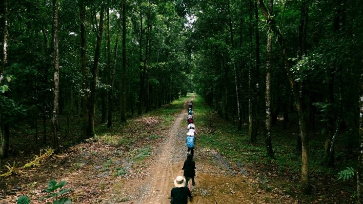 Một đoạn đường rừng ở Tà Lài