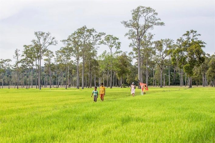 Cắm trại trên ruộng lúa tại Tà Lài