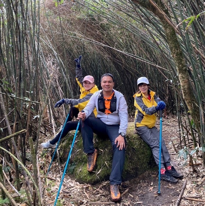 Một đoạn rừng trúc trong tour