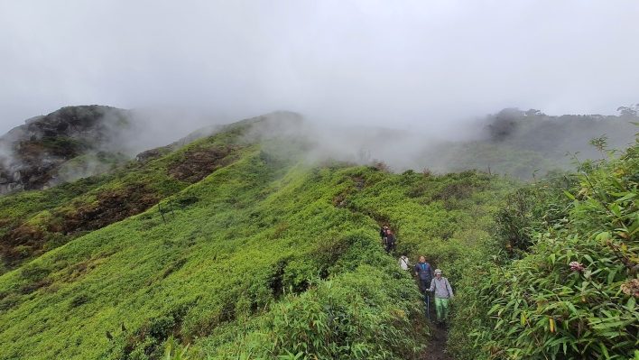 Đường trekking đỉnh Nhìu Cồ San