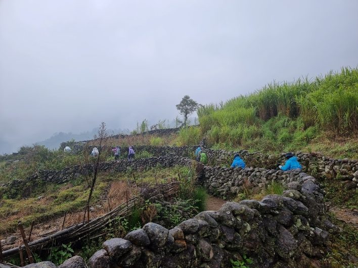 Băng qua con đường đá