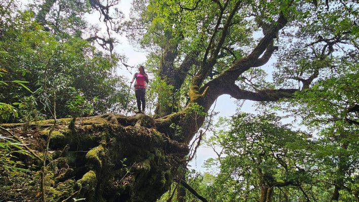Tận hưởng không gian rừng núi rộng lớn khi trekking