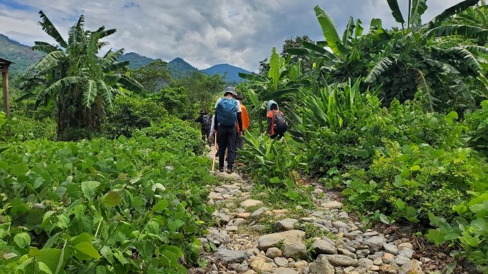 Check in những khu vườn trồng chuối của người dân tại Tà Giang