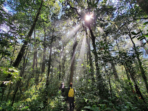 Hiking Vườn quốc gia Bidoup Núi Bà
