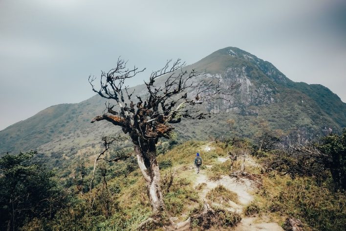 Tour trekking Ky Quan San 2 ngày 1 đêm