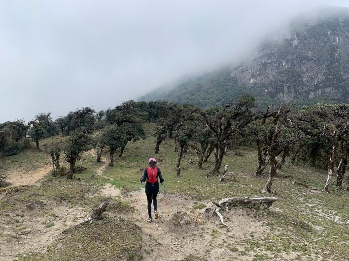 Gậy trekking hỗ trợ leo núi