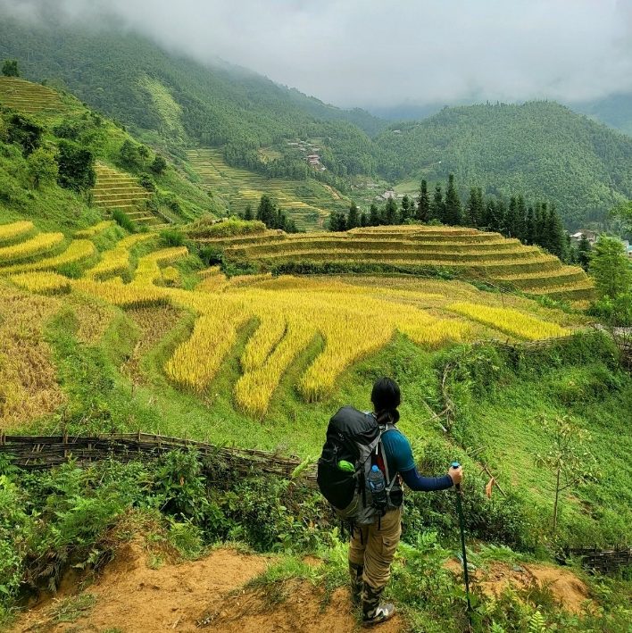 Mùa vàng dưới chân núi Ky Quan San