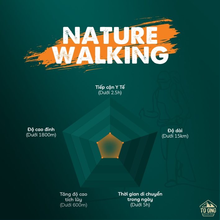 Nature Walking