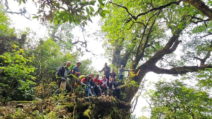 Không trekking một mình