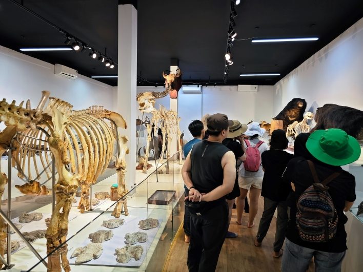 Tham quan bảo tàng trong tour khám phá