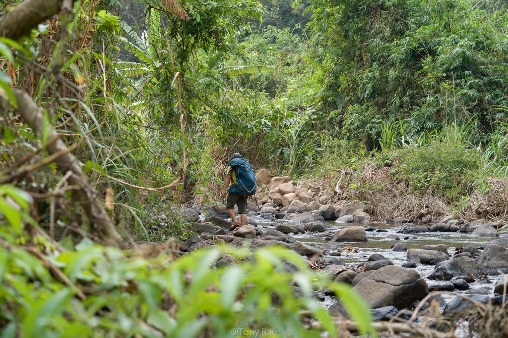 Cung walking phù hợp cho newbie