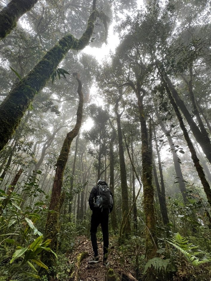Khám phá hệ sinh thái đa dạng khi hiking