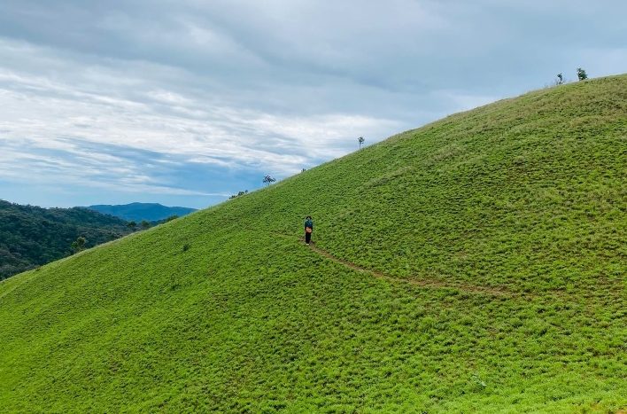 Đồi cỏ xanh ngắt trong cung Tà Năng - Phan Dũng