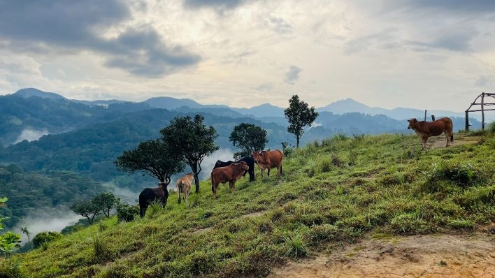 Cảnh sắc bình yên ở cung Tà Năng - Phan Dũng