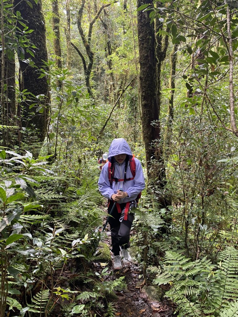 Mountain Hiking di chuyển theo những cung đường mòn có sẵn 