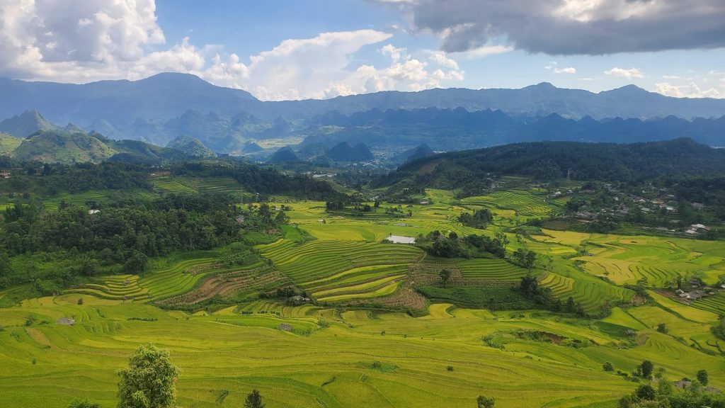 Phong cảnh hữu tình với đồng lúa chín ở bản Tả Lèng 
