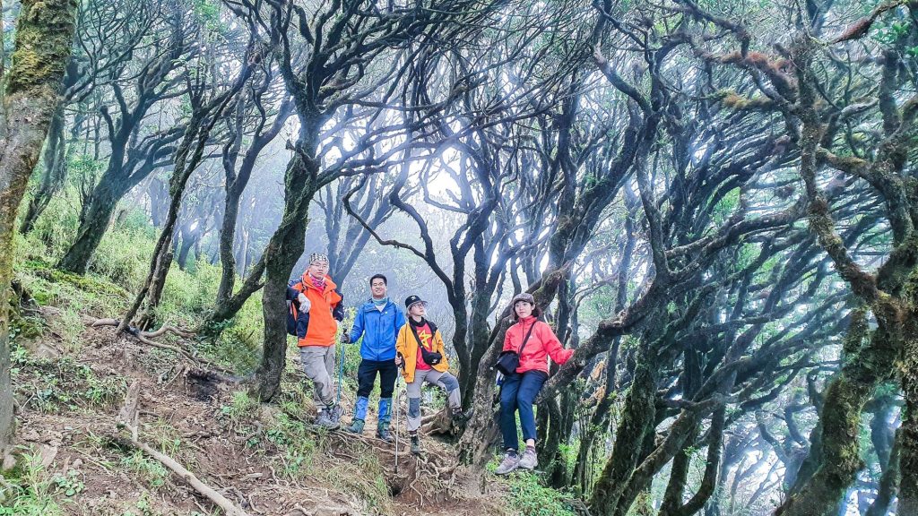 Cung trekking chinh phục ngọn núi Ky Quan San kéo dài 27km 
