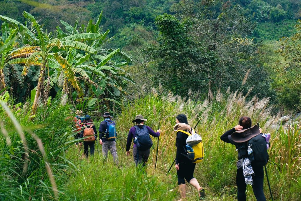 Những thân chuối đơn lẻ dọc đường hiking Tà Giang Khánh Hòa