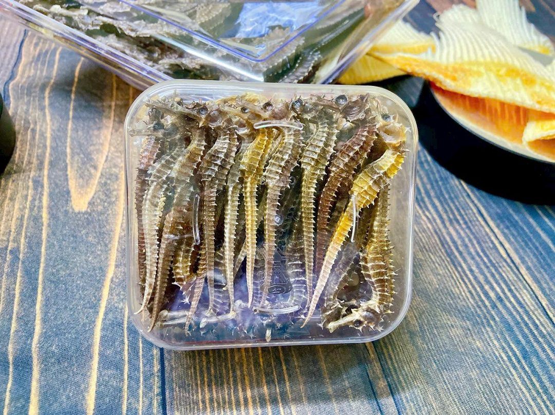 Cá ngựa khô độc, lạ