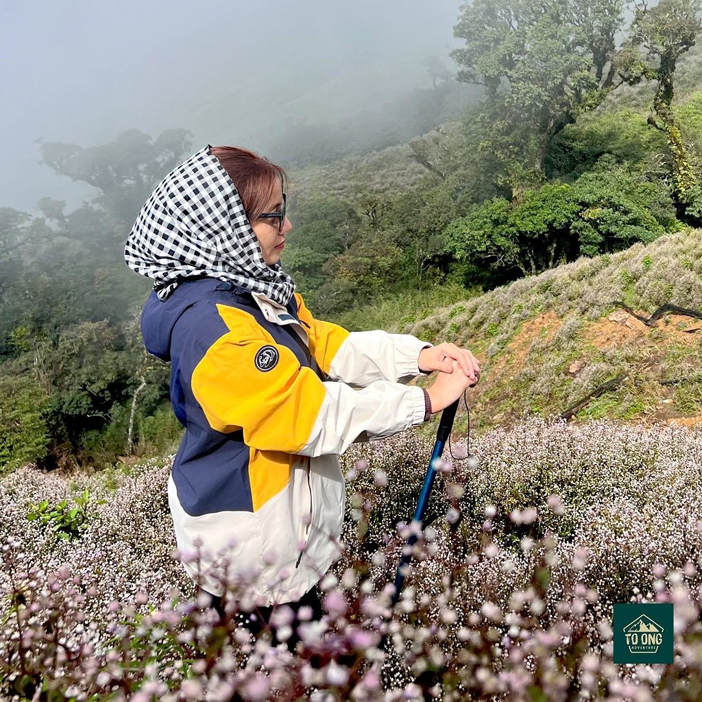 Hành lý cần chuẩn bị khi trekking Tà Chì Nhù