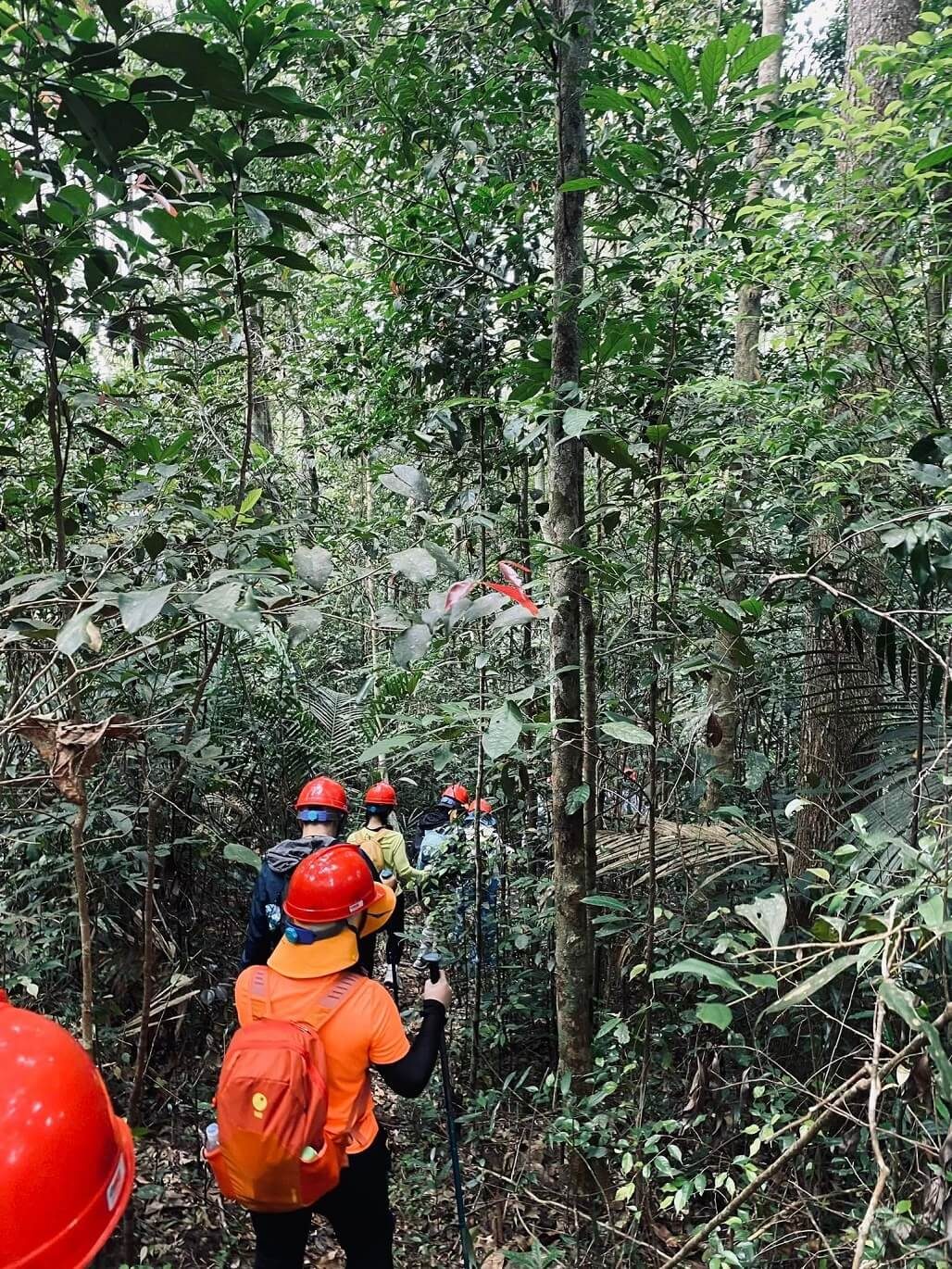 Những lưu ý khi đến đỉnh Hòn Bà
