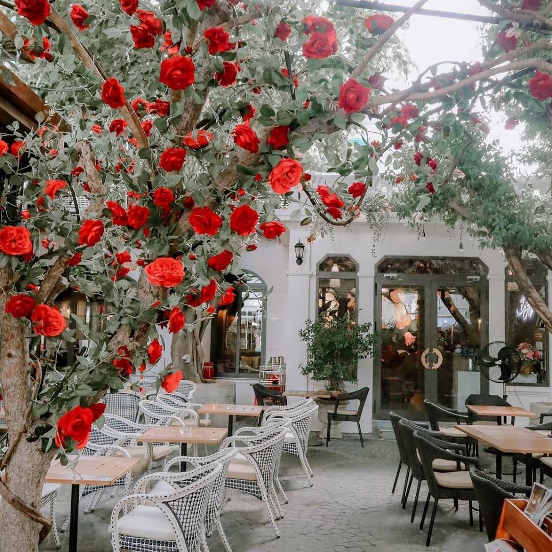 Bonjour Cafe