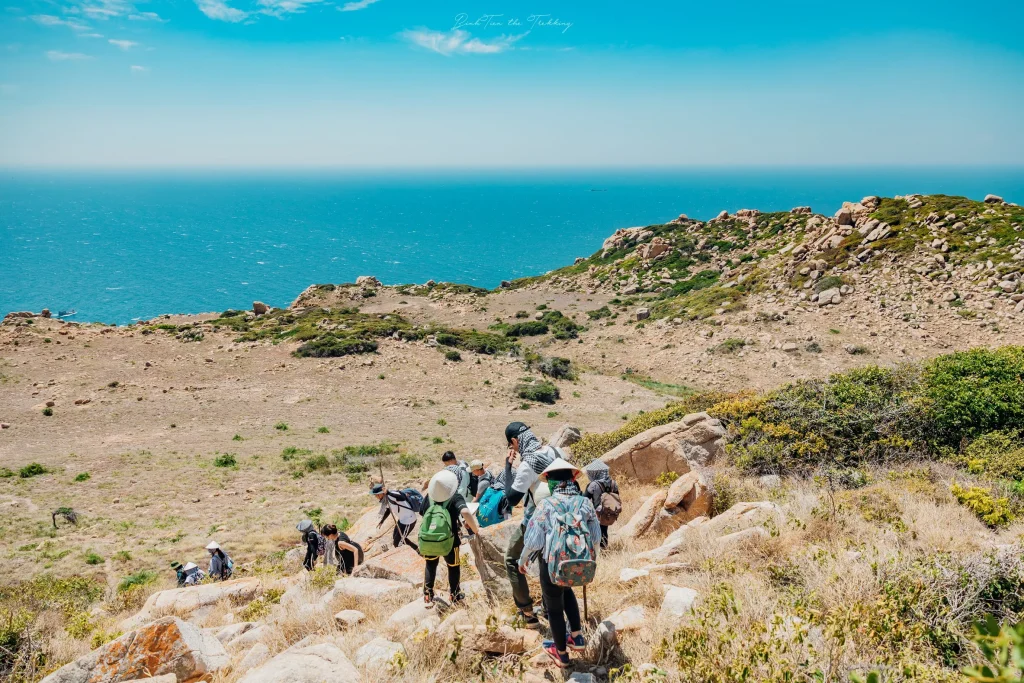 Tổ Ong Adventure activity