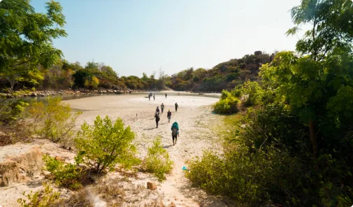 Tổ Ong Adventure experience
