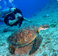 Scuba diving