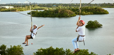 Zipline